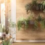 Egger Decowall DO008 Loveland Eiche Wandverkleidung mit Pflanzen an der Wand und auf dem Boden.