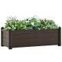 vidaXL Hochbeet Mokka, 100x43x35 cm, mit Pflanzen. Garten-Pflanzkübel aus Polypropylen.