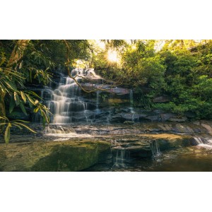 Sanders Fototapete Stürze Grün, 450x280cm: Wasserfall im Wald mit Sonnenlicht.