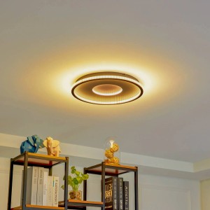 Lindby LED Deckenleuchte Edenia 10013330 in Schwarz 1-flammig Wohnzimmerleuchte