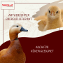 Supravit Futterweizen Einzelfuttermittel für Geflügel_5