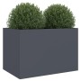 Großer anthrazitfarbener Stahl-Pflanzkübel, rechteckig, mit grünen Pflanzen. Für Garten, Balkon, Terrasse.