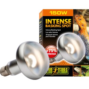 Exo Terra Intense Basking Spot 150W Wärmelampe für Terrarien, Frontansicht.