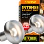 Exo Terra Intense Basking Spot 150W Wärmelampe für Terrarien, Frontansicht.