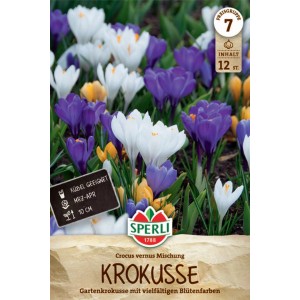 Sperli Gartenkrokus Mischung mit violetten, gelben und weißen Blüten.