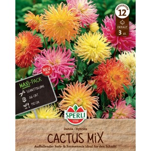 Sperli Kaktus-Dahlienmix, mehrfarbig. Blumenzwiebeln für farbenfrohe Sommerblumen.