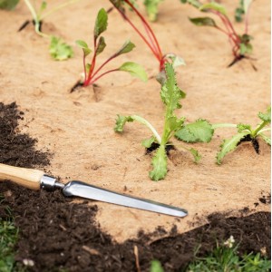 Windhager Jutevlies-Mulchmatte (75x400cm) im Beet mit Pflanzen und Gartengerät.