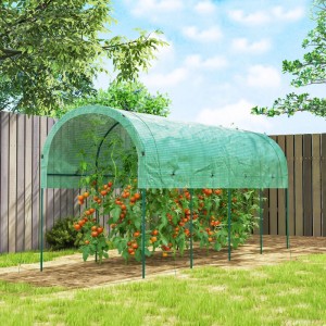 Grünes Foliengewächshaus mit Bogendach und Tomatenpflanzen im Garten.