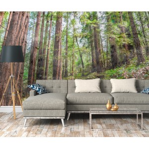 Fototapete Wald in Grün, Braun und Blau, 3,50x2,55m, FSC®-zertifiziert.