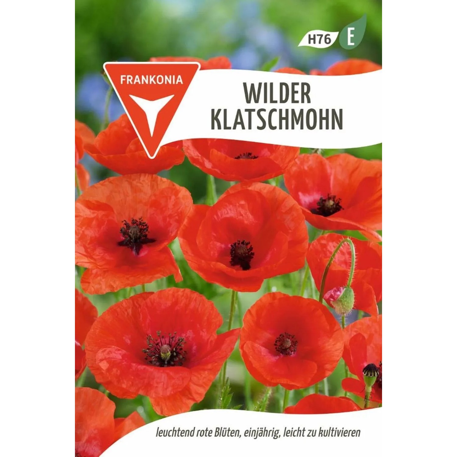 FRANKONIA Wilder Klatschmohn