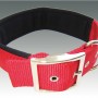 Rotes Heim Hundehalsband mit Neopren, 38 mm breit und 60 cm lang.