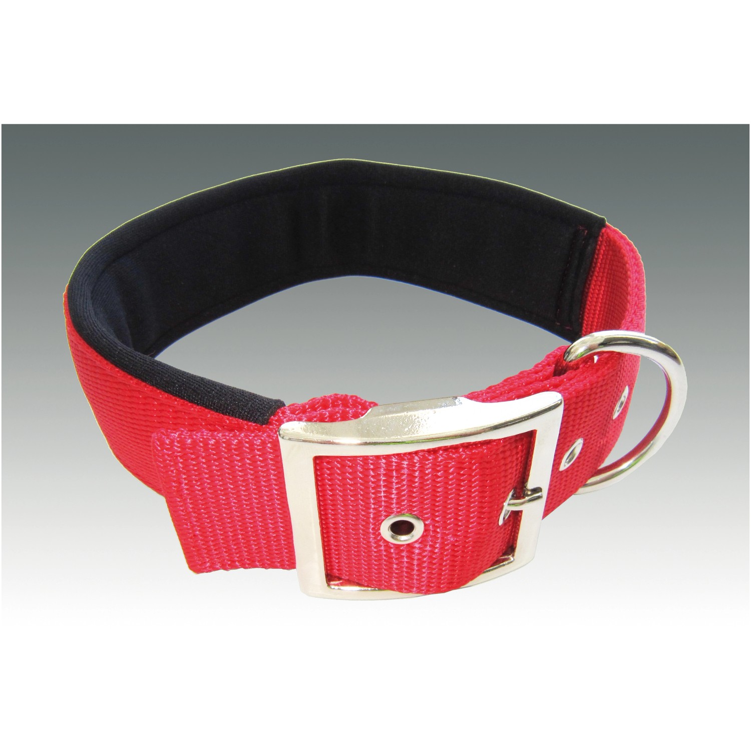 Rotes Heim Hundehalsband mit Neopren, 38 mm breit und 60 cm lang.