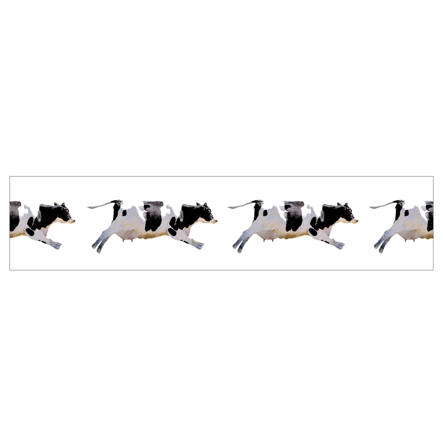 MySpotti Küchenrückwand Profix Cucina Fliegende Kuh 270 x 60 cm Schwarz-Weiß