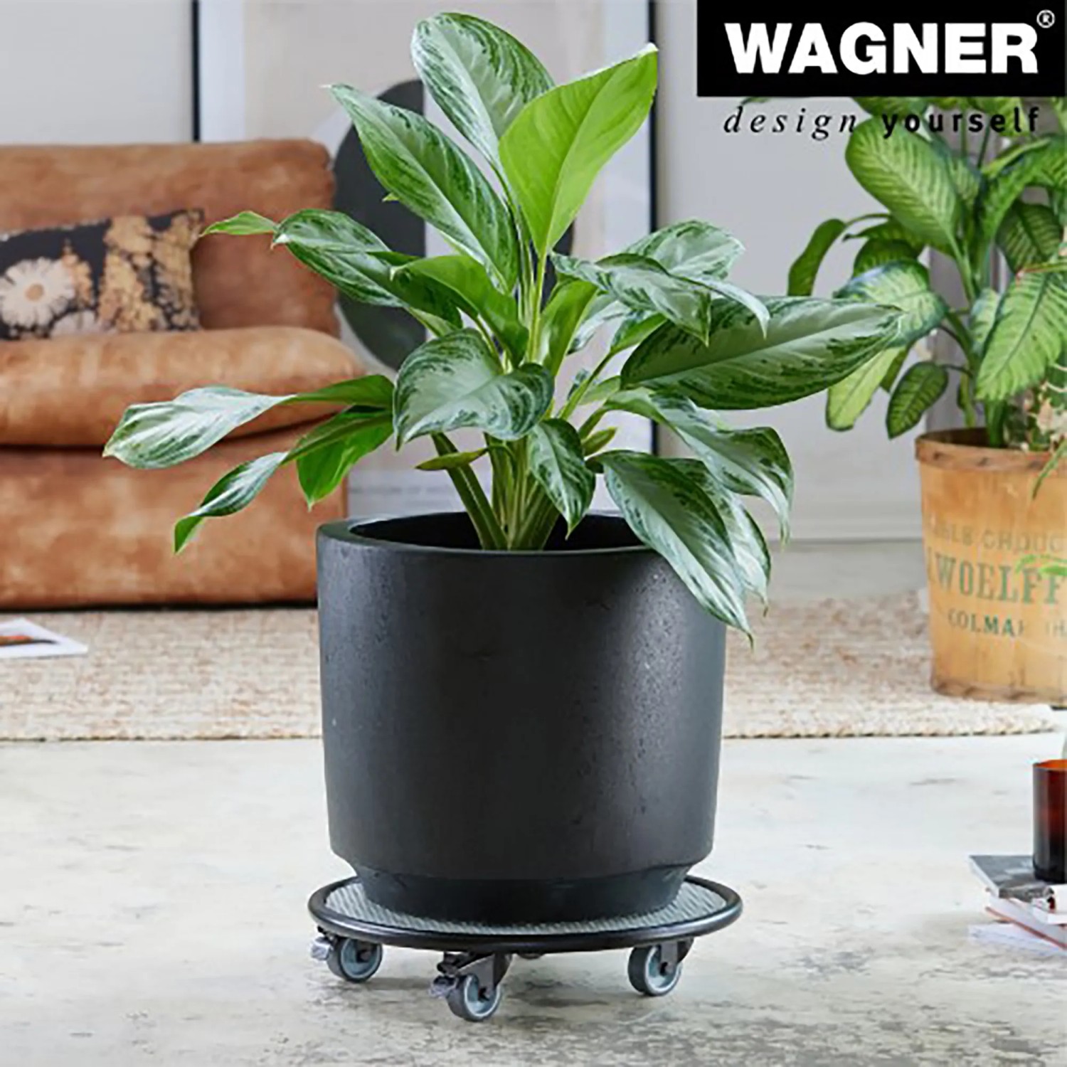 Schwarzer Wagner Design Pflanzenroller GH 7017 mit Pflanze, Ø 38 cm.