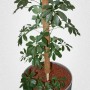 Kokosstab 80 cm als Rankhilfe für eine Grünpflanze im Topf.