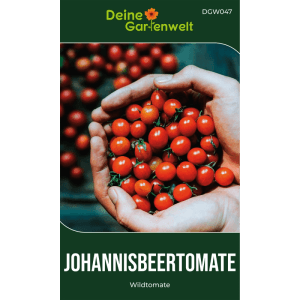 Hände halten viele kleine, leuchtend rote Johannisbeertomaten. Ideal für den Anbau von Gemüsesamen im Garten.