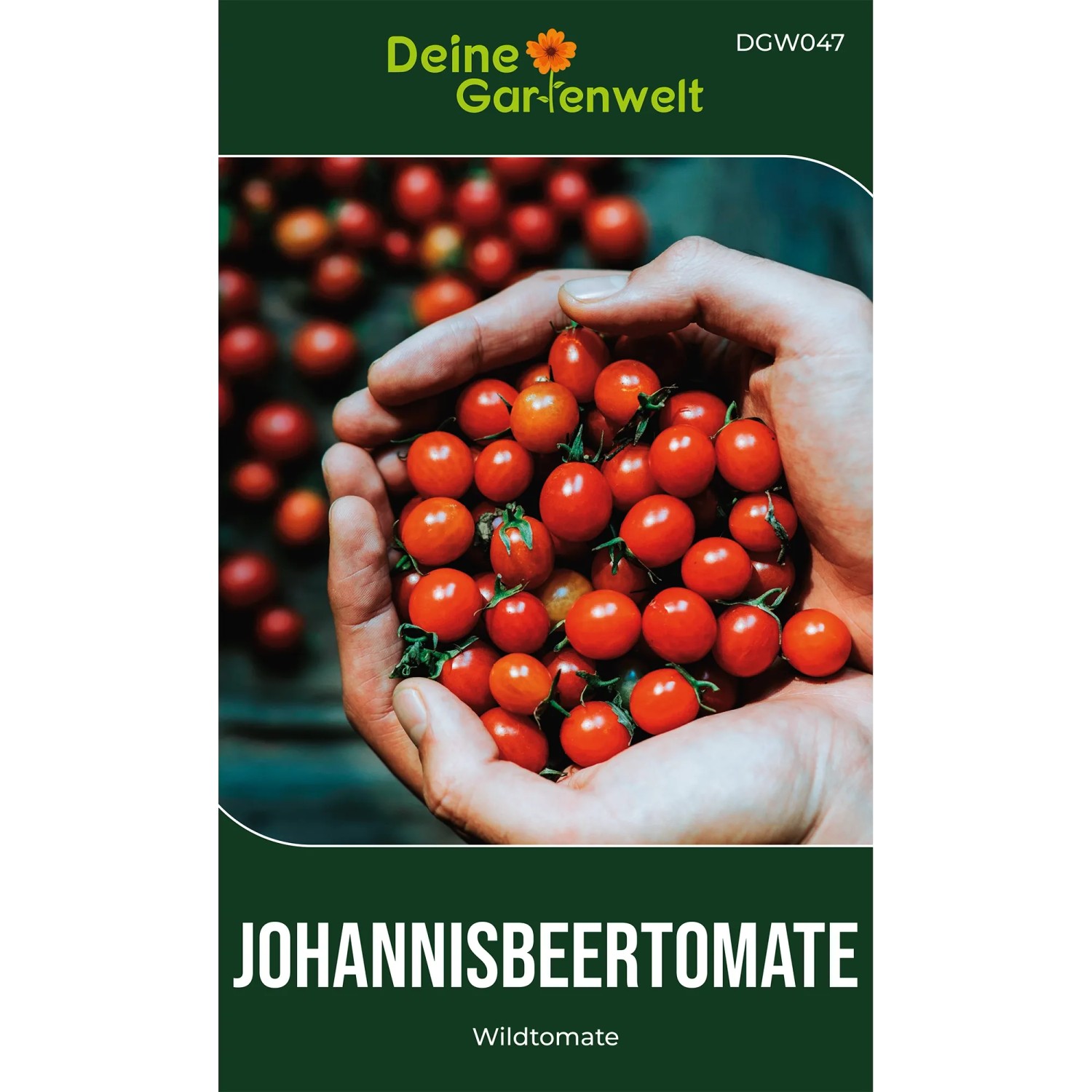 Deine Gartenwelt Johannisbeertomaten Samen