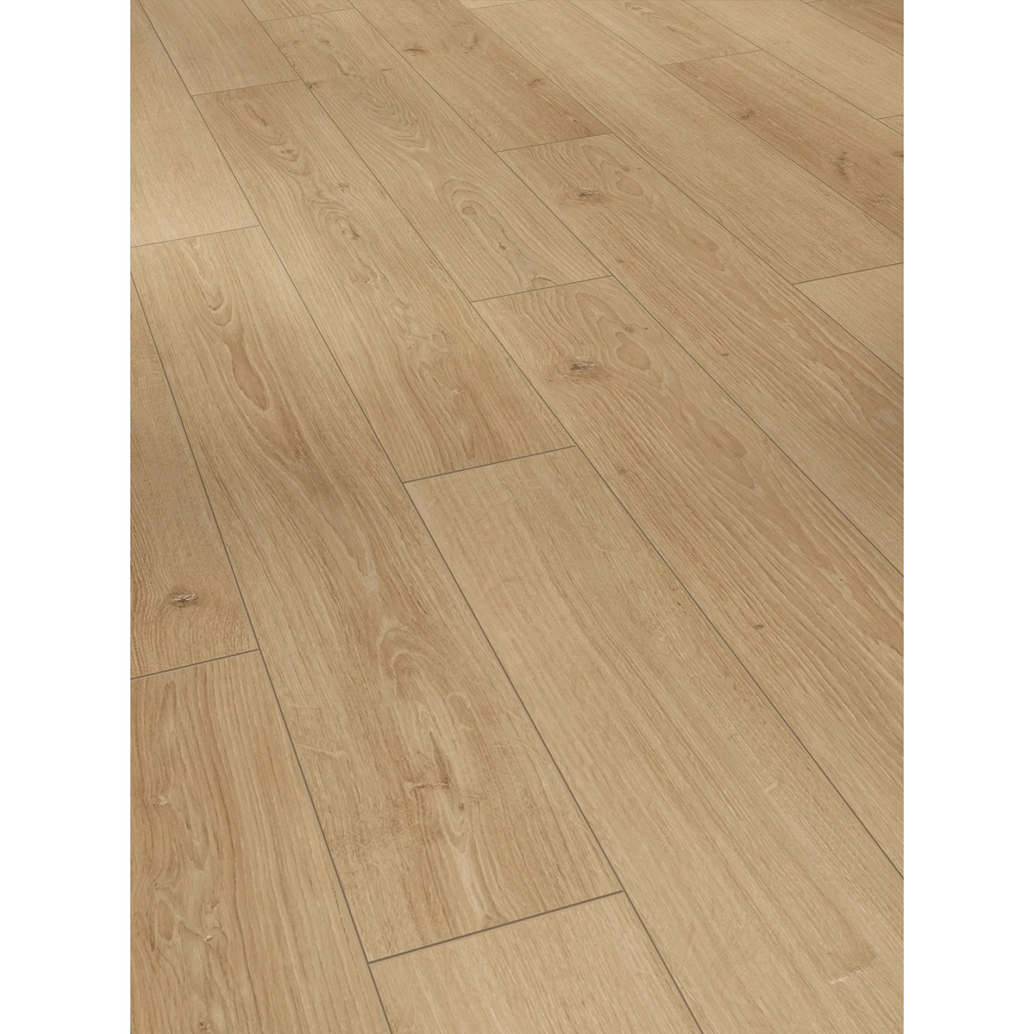 Parador Laminat Classic 1050, Eiche Studioline Natur, wasserfest, 8mm stark.