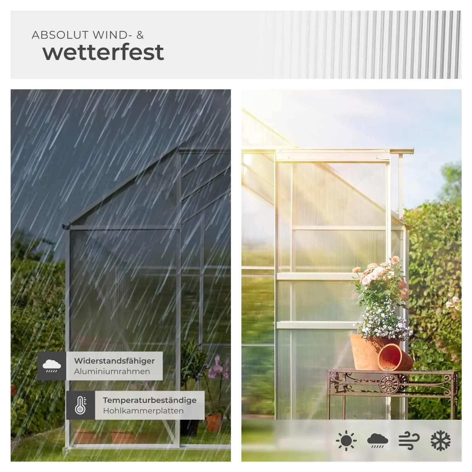 Tectake Gewächshaus mit Aluminiumrahmen und transparenten Hohlkammerplatten. Zeigt Wetterfestigkeit bei Regen und Sonne.