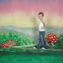 Walimex Pro Motiv-Stoffhintergrund 'Alice' 3X6M Fotohintergrund Video Kamera_3