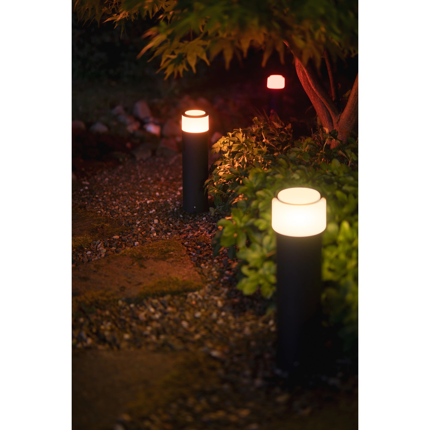 Philips Hue Calla Sockelleuchte im Garten. LED-Gartenleuchte mit warmweissem Licht.