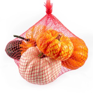 Zierkürbis-Mischung im Netz: Herbstliche Deko mit Kürbissen in Orange, Weiß und Grün.