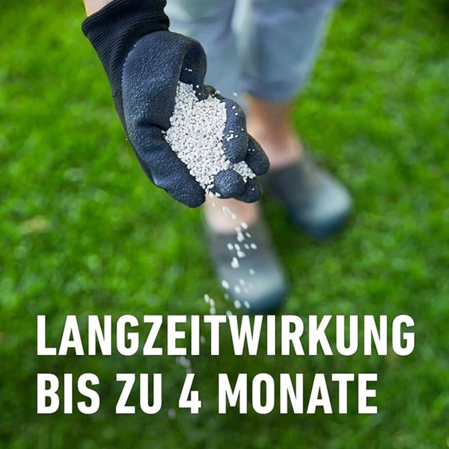 Hand mit COMPO Rasen-Langzeitdünger über Rasen. Dünger für bis zu 4 Monate.