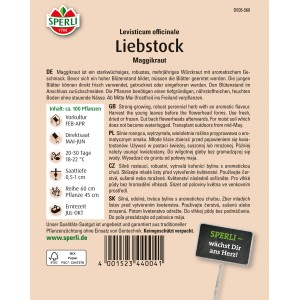 Sperli Liebstock Maggikraut Samenpackung, aromatisches Küchenkraut für den Garten.