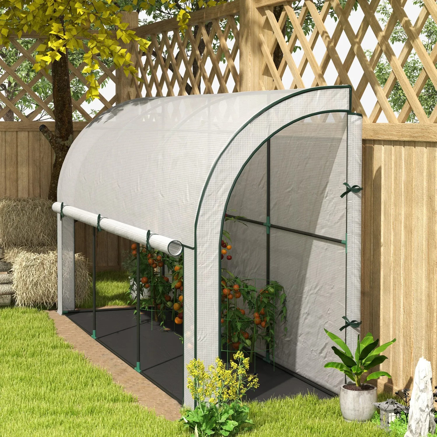Outsunny Gewächshaus mit Rolltür, weiß, 300x80x157 cm, für Gemüseanbau im Garten.