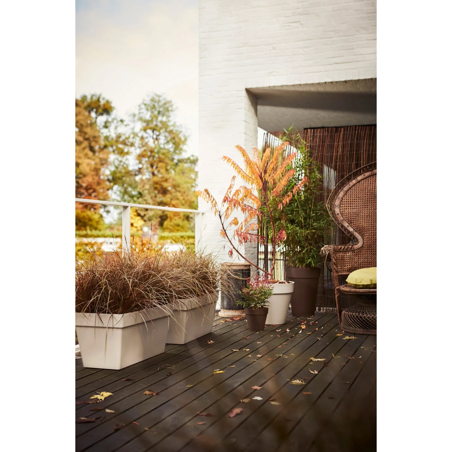 Blumentopf Blumentopf Der Unscheinbare Star Auf Balkon Und Fensterbankfeed