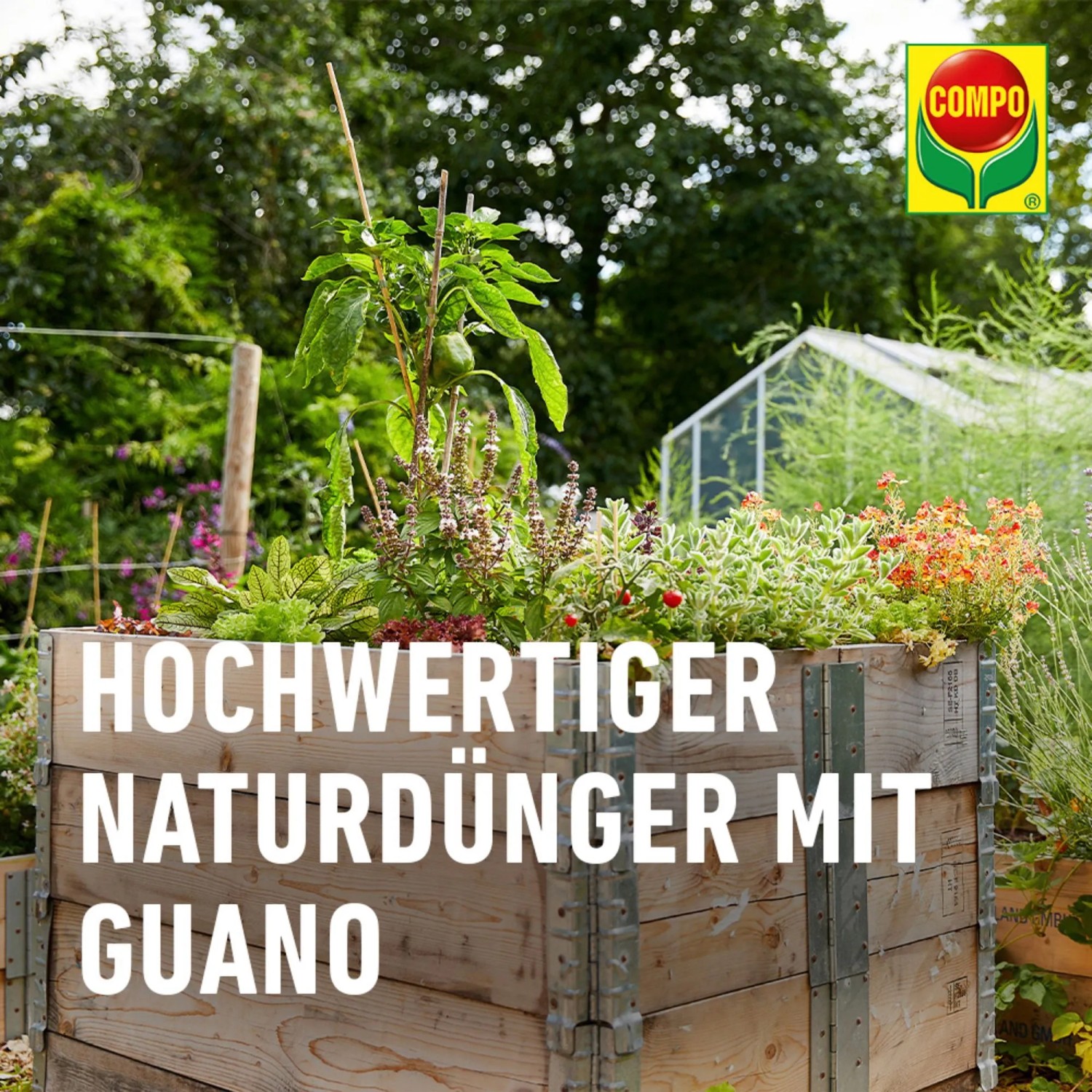 Compo Bio NaturDünger Guano für Gemüse und Zierpflanzen im Garten.