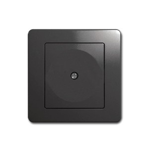 TEM EKONOMIK Blende Anthrazit UP Blinddose Abdeckung