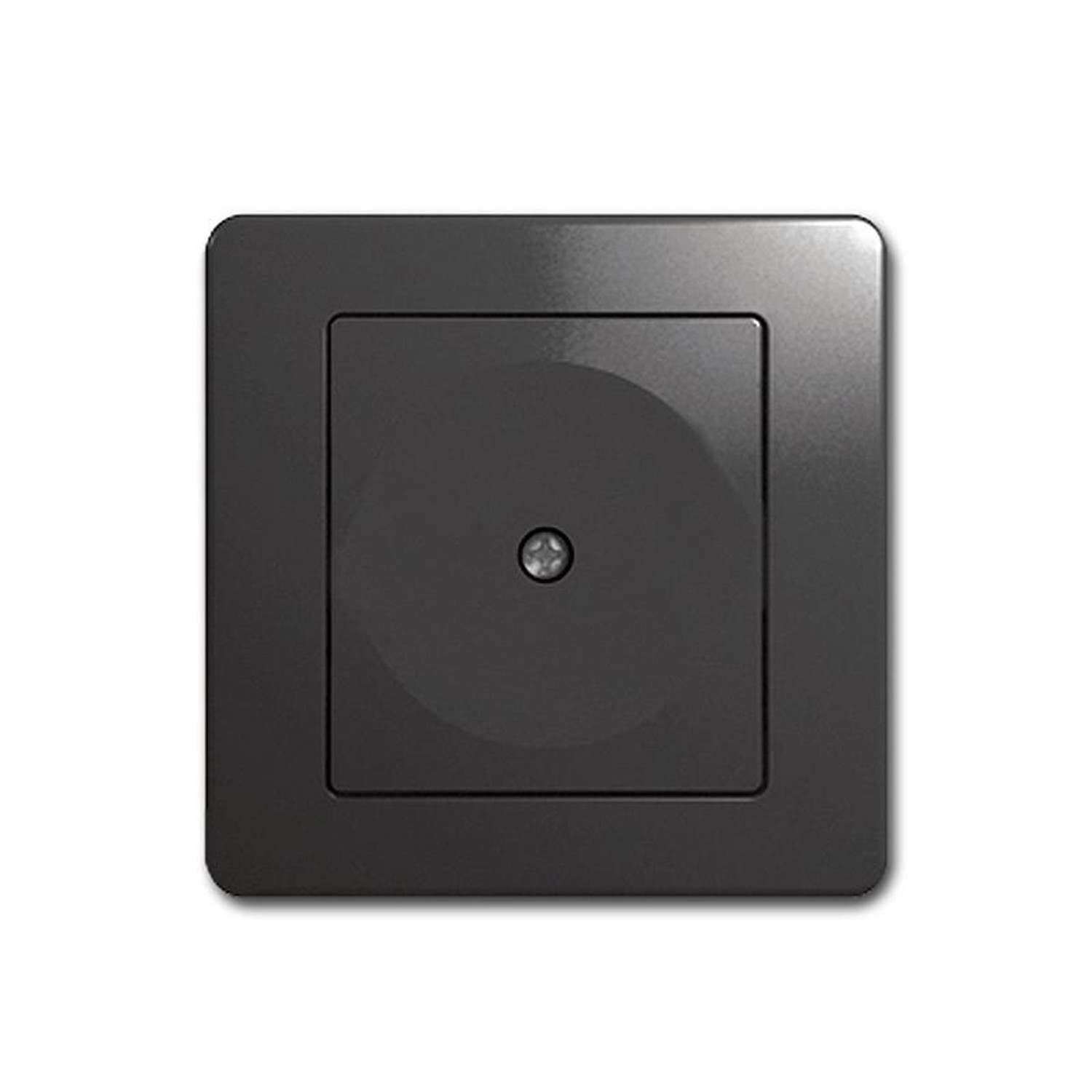 TEM EKONOMIK Blende Anthrazit UP Blinddose Abdeckung