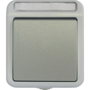 ASS AP/FR Feuchtraum Aus-/Wechselschalter IP54, grau