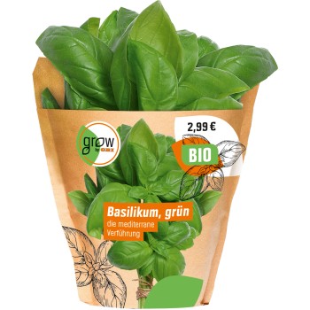 Obstpflanzen Gemüsepflanzen kaufen bei OBI