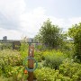 Gardena Spiralschlauch 7,5m City Gardening am Wasserhahn auf Dachterrasse mit Pflanzen.