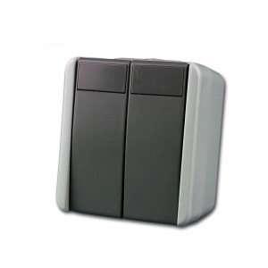 TEM Fontana Doppel Taster Grau 250V10A AP IP44