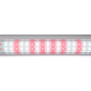 Venso LED-Tent Canna, 200x100x100 cm, für Pflanzenanzucht im Growzelt.