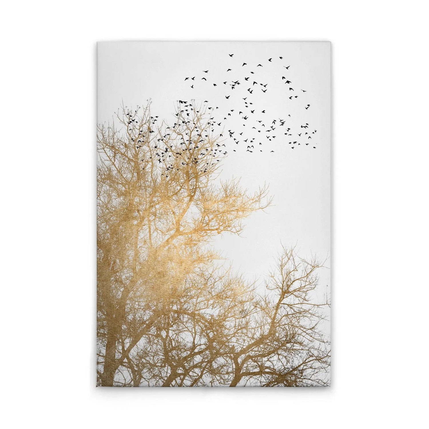 Tadessi Leinwandbild - M1-No.50674 - Baumkrone Weiß Gold - 80 x 120 cm - Querformat