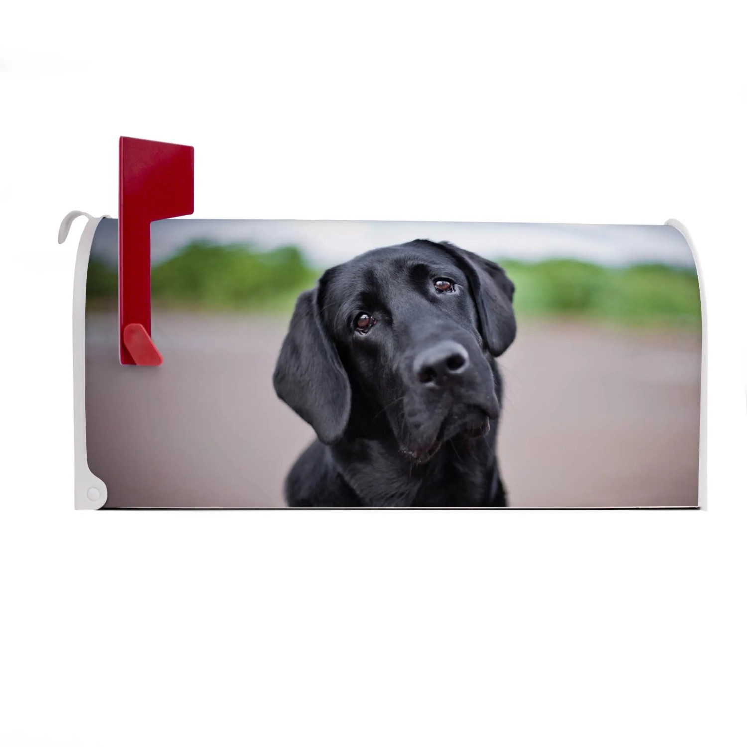 Weißer US Briefkasten mit Hund Motiv Paolo, Stahl pulverbeschichtet, 48x22x16cm.