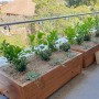 WaterUps Starterset-Bewässerungsbox in einem bepflanzten Hochbeet auf einer Terrasse.