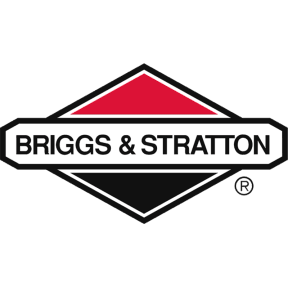 Briggs & Stratton logo link