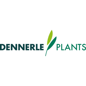 Dennerle Plants logo link