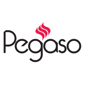 PEGASO logo link