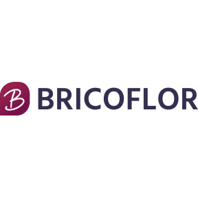 Bricoflor logo link