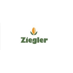 Ziegler Gregor logo link