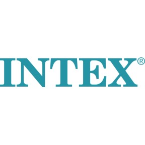 Intex logo link