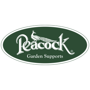 Peacock logo link