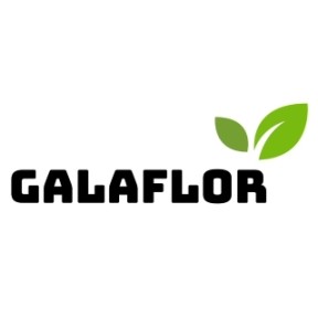 Galaflor logo link