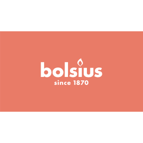 Bolsius logo link